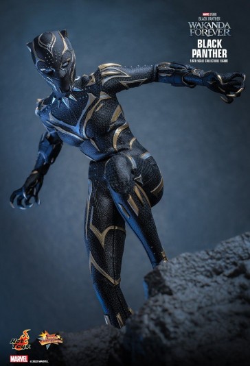 Hot Toys - Black Panther - Black Panther: Wakanda Forever