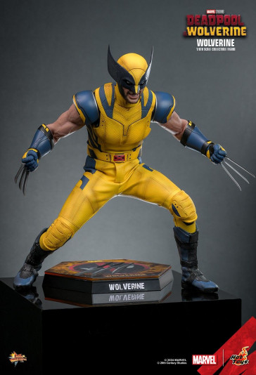 Hot Toys - Wolverine - Deadpool & Wolverine