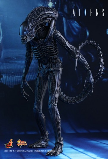 Alien Warrior - Aliens - Hot Toys