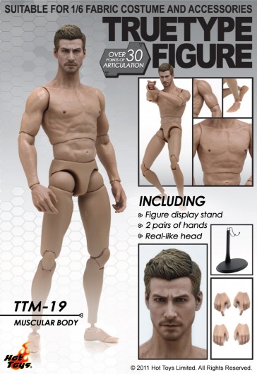 True Type Body TTM 19 