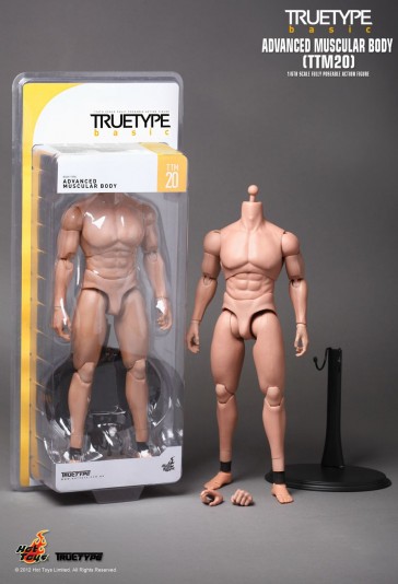 Hot Toys - True Type Body TTM 20