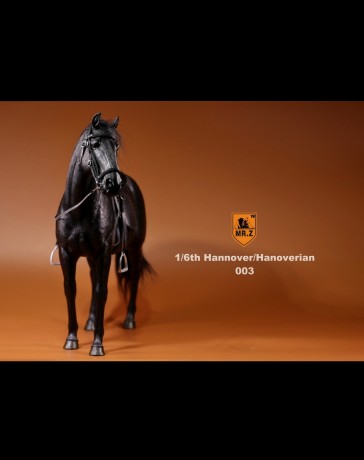German Hanoverian Warmblood Horse - schwarz - Mr. Z