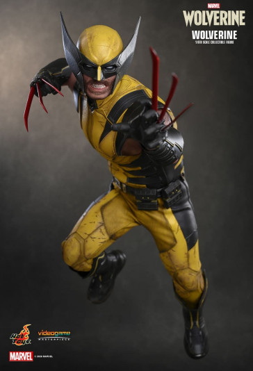 Hot Toys - Wolverine - Marvel's Wolverine