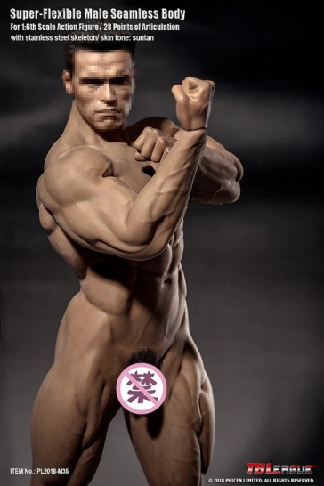 Scale Seamless Body Arnold Schwarzenegger Suntan Version - Super-Flexible
