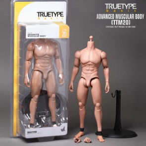 Hot Toys - True Type Body TTM 20