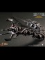 Hot Toys - Terminator - Salvation - John Connor Final Battle Version - Ausstellungsstück