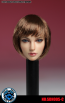 Super Duck - Female Head Sculpt - SDH005-C (1/6th Head Sculpts)