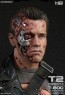 Enterbay - T-800 - Incredible Figures