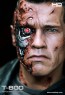 Enterbay - T-800 - Incredible Figures