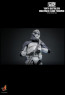 Hot Toys - 104th Battalion Wolfpack Clone Trooper