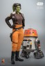 Hot Toys - Hera Syndulla - Star Wars: Ahsoka