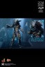 Aceint Predator - Alien vs. Predator