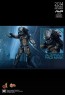 Aceint Predator - Alien vs. Predator
