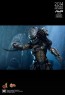 Aceint Predator - Alien vs. Predator