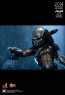 Aceint Predator - Alien vs. Predator