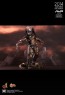 Aceint Predator - Alien vs. Predator