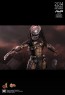 Aceint Predator - Alien vs. Predator