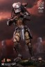 Aceint Predator - Alien vs. Predator