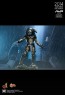 Aceint Predator - Alien vs. Predator