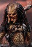 Aceint Predator - Alien vs. Predator