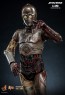 Hot Toys - C-3PO - Star Wars Episode II - Attack of the Clones