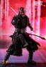 Darth Maul - Star Wars - DX16 Hot Toys