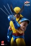 Hot Toys - Hono Studio - Wolverine - X-Men- HS01