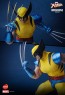 Hot Toys - Hono Studio - Wolverine - X-Men- HS01