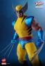 Hot Toys - Hono Studio - Wolverine - X-Men- HS01
