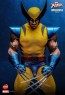 Hot Toys - Hono Studio - Wolverine - X-Men- HS01
