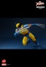 Hot Toys - Hono Studio - Wolverine - X-Men- HS01