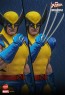 Hot Toys - Hono Studio - Wolverine - X-Men- HS01