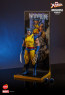 Hot Toys - Hono Studio - Wolverine Unmasked - X-Men- HS06 