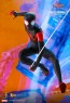 Hot Toys - Miles Morales - Spider-Man: Into the Spider-Verse