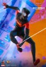 Hot Toys - Miles Morales - Spider-Man: Into the Spider-Verse