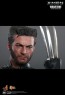 Wolverine - X-Men: Days of Future Past