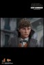 Hot Toys - Newt Scamander - Fantastic Beasts: The Crimes of Grindelwald
