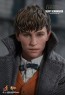 Hot Toys - Newt Scamander - Fantastic Beasts: The Crimes of Grindelwald