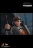 Hot Toys - Newt Scamander - Fantastic Beasts: The Crimes of Grindelwald