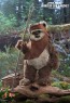 Hot Toys - Princess Leia & Wicket - Star Wars - Return of the Jedi - Collectible Set