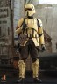 Hot Toys - Shoretrooper - Star Wars: The Mandalorian