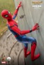 Hot Toys - Spider-Man - Spider-Man: Homecoming - Quarter Scale - Deluxe Version