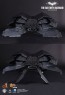 The Bat with Batman (The Dark Knight Rises) 