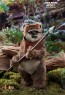 Hot Toys - Wicket - Star Wars - Return of the Jedi 