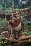 Hot Toys - Wicket - Star Wars - Return of the Jedi 