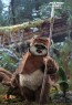Hot Toys - Wicket - Star Wars - Return of the Jedi 