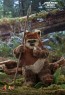 Hot Toys - Wicket - Star Wars - Return of the Jedi 