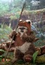 Hot Toys - Wicket - Star Wars - Return of the Jedi 
