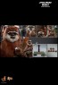 Hot Toys - Wicket - Star Wars - Return of the Jedi 