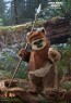 Hot Toys - Wicket - Star Wars - Return of the Jedi 
